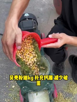 华畜 贝壳粉细kg 补充钙源 减少破蛋鸡鸭鹅猪牛羊通用 F