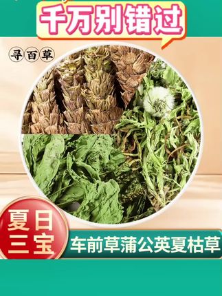 三宝组合蒲公英车前草夏枯草新鲜干货猫爪草泡茶网红口粮茶#养生 #养生茶 #蒲公英 #车前草