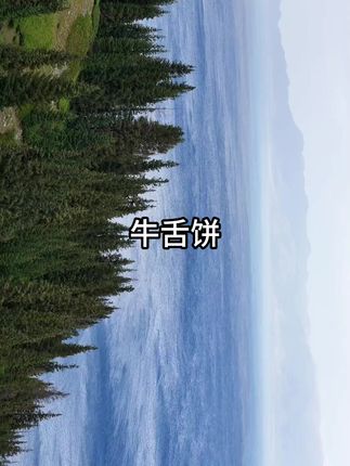 #牛舌饼 #老式糕点 #美玲的百大零食