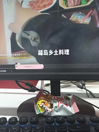 #论文发表指南