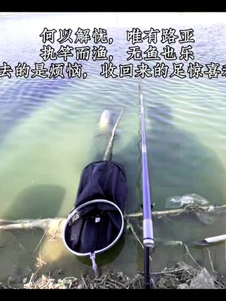 轻松远投,无后顾之忧!运费险保障你的钓鱼乐趣 钓鱼时的惊喜和快乐 #钓鱼的乐趣只有钓鱼人懂 #纺车轮 #斯泰拉纺车轮 #斯泰拉 #路亚轮