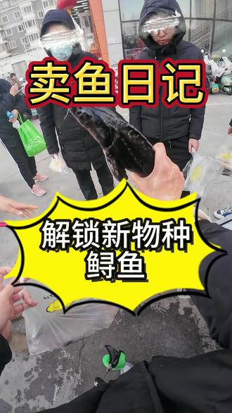 第一次解锁鲟鱼,这玩意12一斤贵不贵啊? #我的摆摊日记 #卖鱼人 #鲟鱼 #柳根鱼