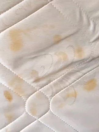 床垫清洁剂免水洗被子席梦思乳胶干洗去尿渍血渍发黄污渍清洗神器 #床垫干洗剂 #床垫清洁剂