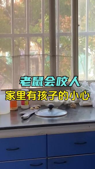 家有娃必看!老鼠晚上真的会咬人,星火上门灭鼠采用物理捕捉+源头封堵,全程不施药,安全无残留!#除老鼠 #灭老鼠 #上门除鼠 #除老鼠的方法