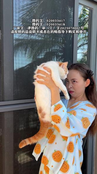 猫咪驱虫药怎么喂?快来学我这招!轻松拿下! #猫咪驱虫 #新手养猫 #科学养宠攻略 #养猫新手 #猫咪