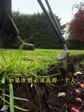 孩子的成长过程,都应该有这套《黑马》,实例分析孩子实际问题,给出解决方案正面引导孩子#父母课堂 #育儿 #孩子教育