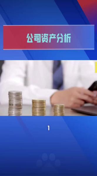 公司资产由哪些部分组成#资产