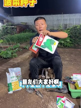 四季大叶菠菜种子菠菜籽种地爬菠菜种孑耐寒蔬菜耐热秋播盆栽农家#大疆action4使用心得 #红光拍照教程 #好的摄影带来的视觉冲击 #生命力拍照