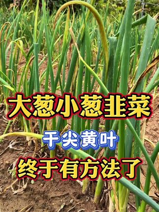 厂家直销视频同款