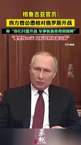 格鲁吉亚官员:西方曾怂恿格对俄开战(参考消息)