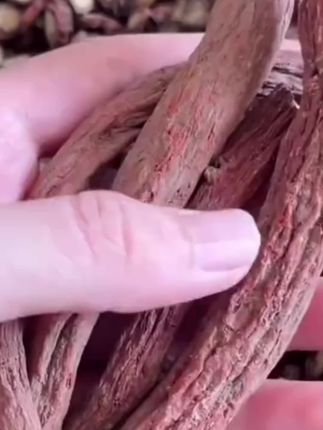 山东紫皮丹参精选中小片高含量净重250克泡水滋补食用晾晒新货#丹参 #健康食材 #科普 #必备 #必备好物
