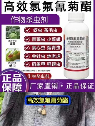 #高效氯氟氰菊酯 #杀虫剂#杀虫剂推荐 #虫害防治#种植小技巧