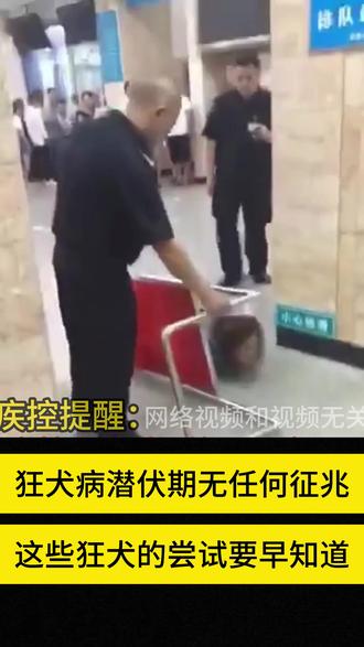 狂犬的常识要了解,突发情况及时做好科学处理!#养猫人 #养狗人 #狂犬病 #养宠经验分享