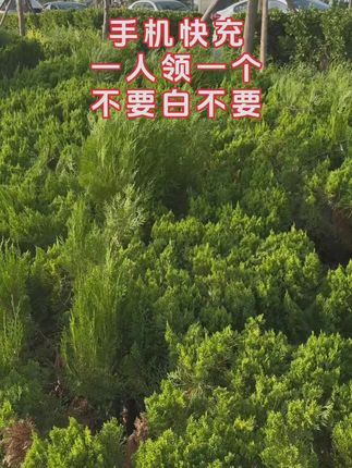 手每人可撸一次,不要白不要哦!#数据线#快充#爆暴款热卖中