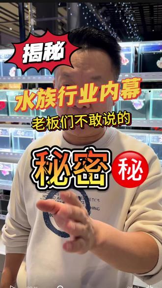 揭秘水族店老板不敢说的秘密!#水族 #行业内幕