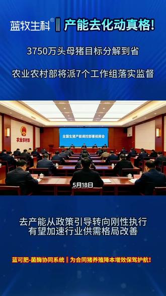 #夜晚牵手照 #养猪喂好料 #畜牧新闻 产能去化动真格!3750万头母猪目标分解到省,农业农村部将派7个工作组落实监督!
去产能将从政策引导转向刚性执行,有望加速行业供需格局改善。
