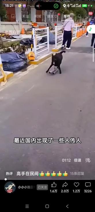 这个方法不错,我家的狗也是挂了个棍,老实多了