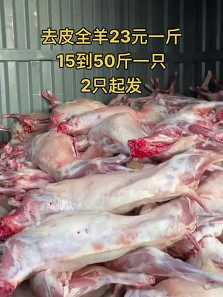 去皮全羊23元一斤，15到50斤一只，2只起发#全羊 #去皮全羊 #牛羊肉批发 #支持全国发货