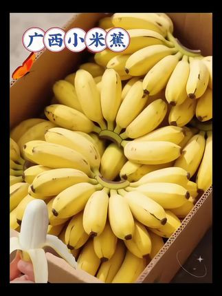 广西巴马 #小米蕉 #香蕉#农产品#快来一起尝个鲜