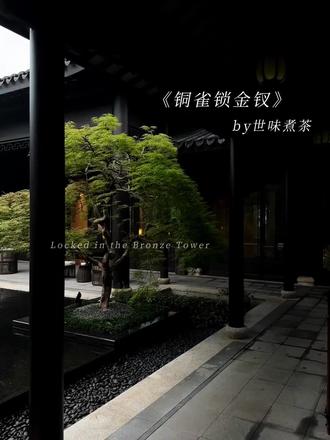 请不要这样说自己#铜雀锁金钗#段烨霖许杭