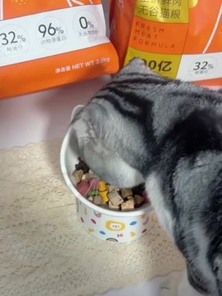 #吃货猫 #可爱萌宠 #宠物用品 #宠物吃货 @抖音小助手