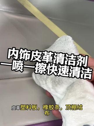 #内饰深度清洁 #皮革清洁剂 #撸车日常 #洗内饰清洁剂 #洗车