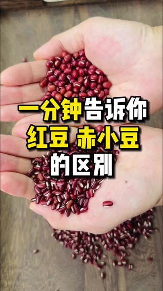 两种豆子 你会选择吗