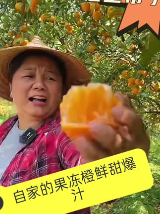 自家的爱媛果冻橙阿姨们可自豪了。今年这个品质太好了!#爱媛38号果冻橙 #爱媛 #果冻橙