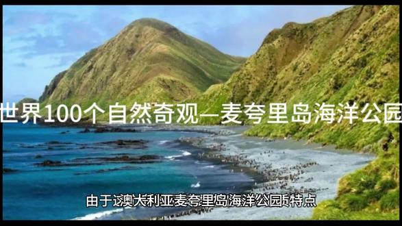 世界100个自然奇观—麦夸里岛海洋公园
