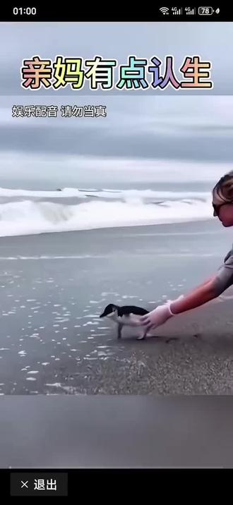 小企鹅找妈妈。#搞笑配音