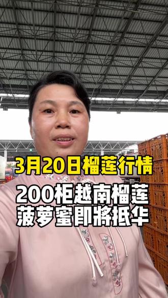 3月20日广州江南市场榴莲行情 200柜越南榴莲菠萝蜜即将抵华 #水果批发 #榴莲行情 #广州江南市场 #榴莲 #水果行情