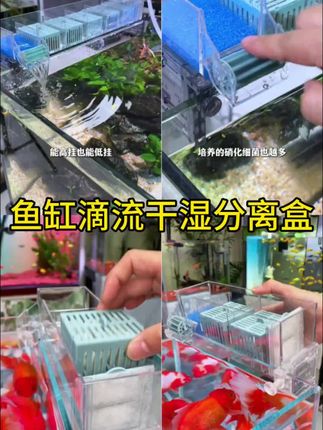 中小鱼缸过滤器的好选择 这个高颜值的滴流盒过滤就很不错 适合不同尺寸的鱼缸使用#新手养鱼 #养鱼日记 #鱼缸过滤