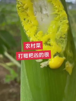#抖音助农扶农 #农民种地不容易 #好东西一起分享