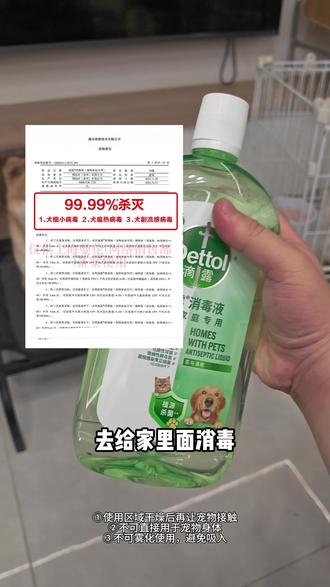 犬病毒高发季,养狗人每周一定要做好消毒#狗狗#新手养狗 #滴露宠物消毒液