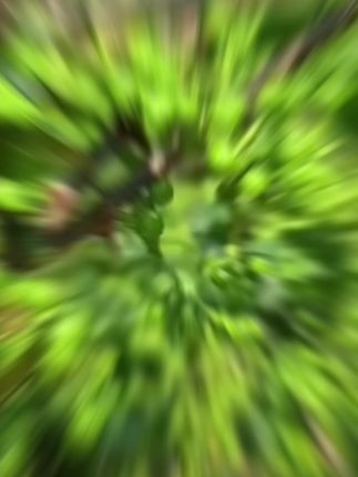 背痒?头油?前胸后背爱长小疙瘩?试试这个青花椒沐浴露!#国货之光#青花椒沐浴露