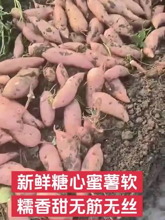 #软糯香甜 #口感特别好 #快来一起尝个鲜 #优质农产品 #强烈推荐