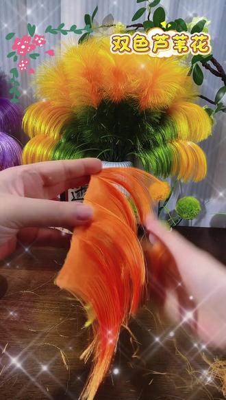 (一次买2单送剪刀)双色芦苇花材料手工DIY材料包【送花瓶】#双色芦苇花 #手工制作 #非成品 #材料包 #家庭装饰