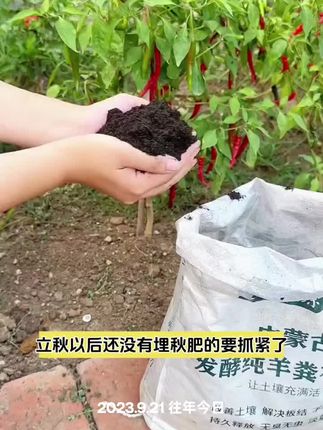 #内蒙古发酵羊粪有机肥 #羊粪有机肥 #内蒙古发酵纯羊粪 #瓜果蔬菜花草树木通用 #羊粪