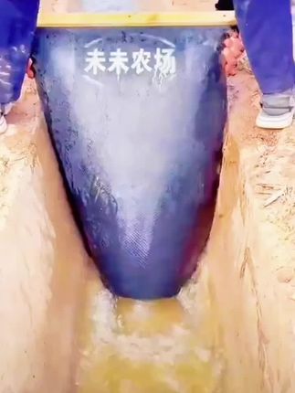 #看见音乐计划 #好物分享🔥