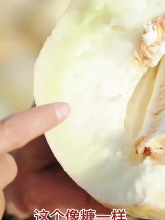 白兰瓜你们吃过吗,果肉香甜可口,远远的就能闻到它的果香#白兰瓜 #甜瓜 #香瓜 #妈呀太香了 #脆甜多汁