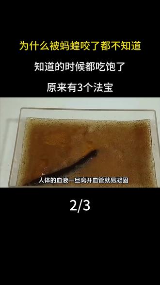 为什么被蚂蝗咬了都不知道,知道的时候都吃饱了,原来有3个法宝