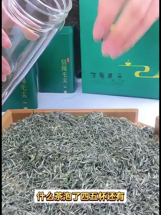 信阳绿茶毛尖2025新茶特级嫩芽浓香型春茶叶散装500g袋装一芽一叶