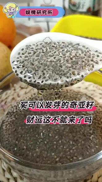 买到发芽的奇亚籽,财运这不就来了吗#奇亚籽 #发芽 #涨知识 #强烈推荐 #上热门🔥 @抖音小助手 @DOU+小助手