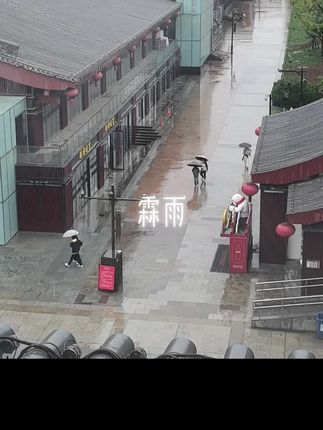 这雨下的连绵不断,把人都下霉了。#陕普蓝田分普 #秦人龙四 @抖音小助手