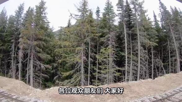 今天是我更新的第17天