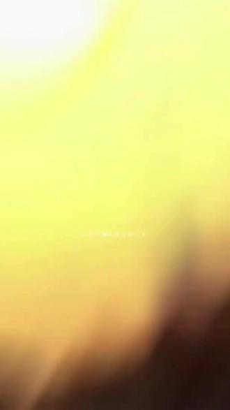 加州日落下18岁的金叹#继承者们 #李敏镐 #上热搜