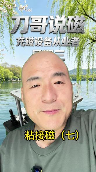 粘接磁(七)#充磁 #钕铁硼 #稀土强磁 #永磁电机 #磁路设计