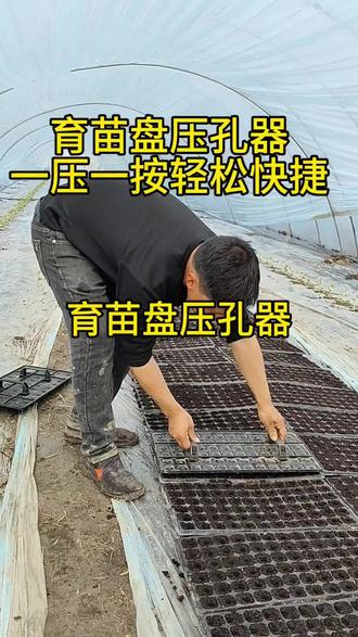 育苗盘点籽压孔器#三农 #育苗 #农业种植