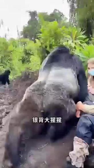 赚钱不顾一切的样子让人动容