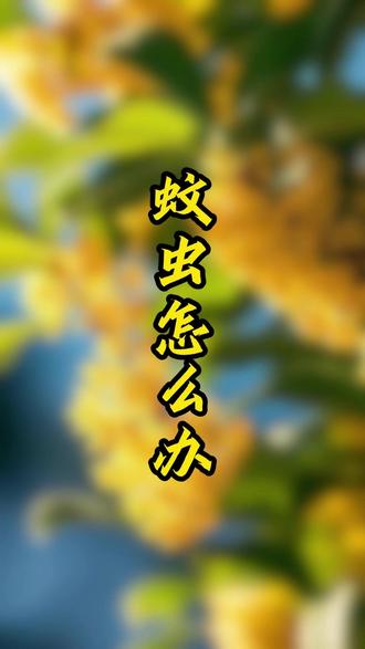 庭院驱蚊再怎么搞 #驱蚊 #庭院设计 #庭院驱蚊 #一楼带院子 #花园